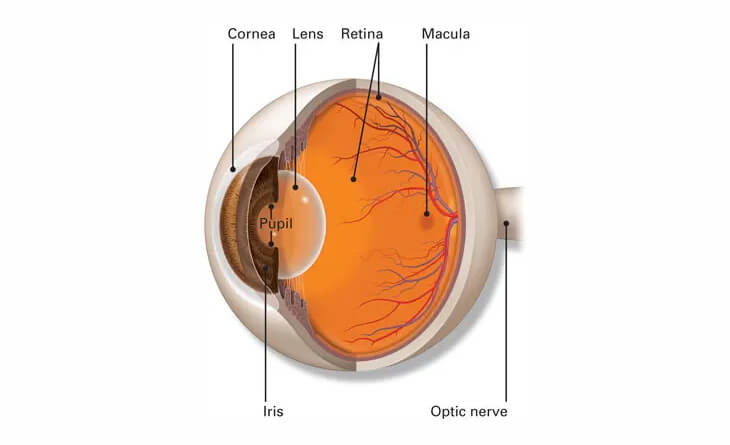 retinal detachment surgery