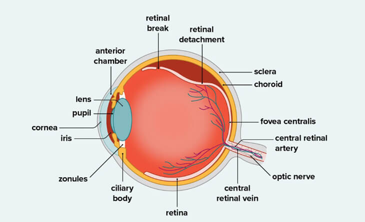 Diabetic retinopathy treatment